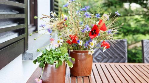 Drebach House | Ferienhaus Drebach