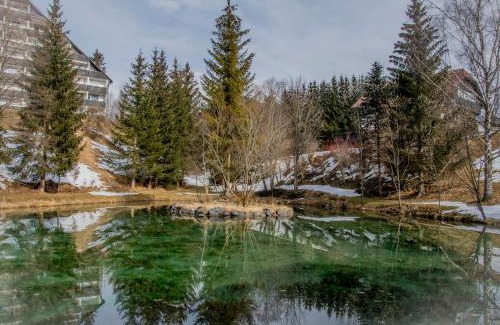 Bad Mitterndorf House | Ferienhaus Fux - Your Lake and Ski Hideaway at Tauplitz near Hallstatt