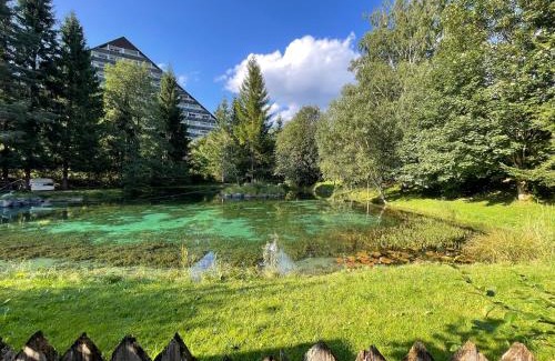 Bad Mitterndorf House | Ferienhaus Fux - Your Lake and Ski Hideaway at Tauplitz near Hallstatt