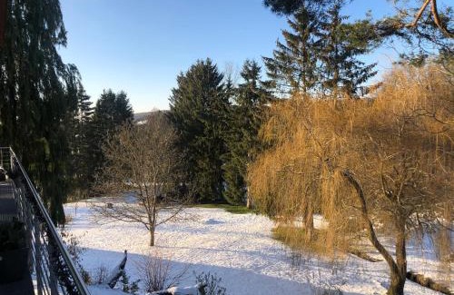 Muhlfeld Apartment | Ferienhaus HAAGALM