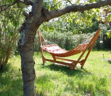 Bodstedt House | Ferienhaus Kranichhorst - Exklusiv-Nutzung mit großem Garten und Strandnähe