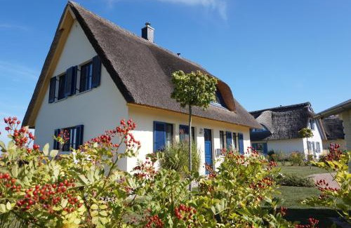 Zierow House | Ferienhaus „Lachmöwe“ Zierow