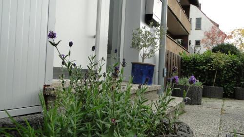 Korbecke Apartment | Ferienhaus Paschke Möhnesee Zentrum