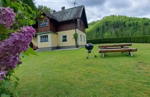 Landl Ski Chalet | Ferienhaus Schlossblick