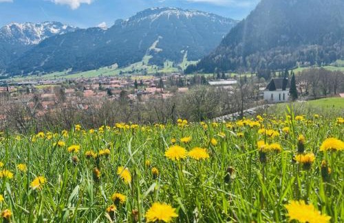 Kappel Apartment | Ferienhaus Sommer