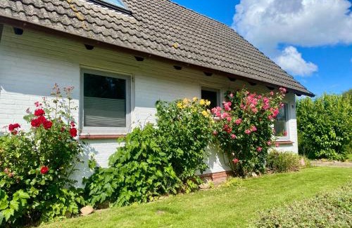 Loose House | Ferienhaus Sutje