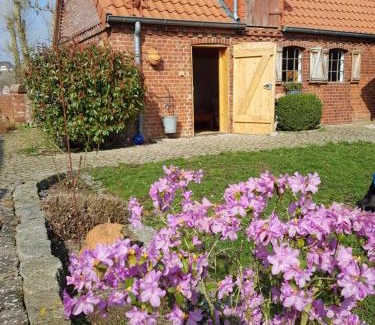 Lauenburg an der Elbe Apartment | Ferienhaus Vörn-Diek
