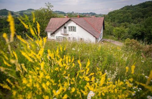 Glanz an der Weinstrasse House | Ferienhaus Vogeljager