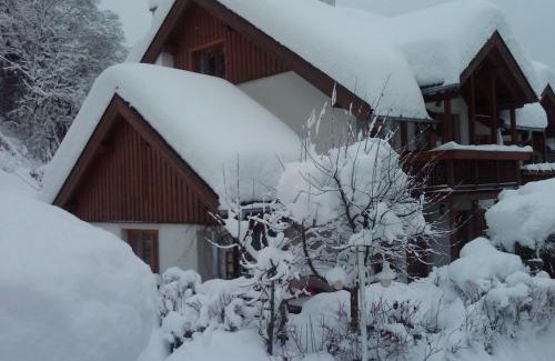 Flachau Ski Chalet | Ferienhaus Waldsicht