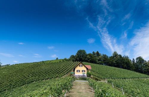 Fotschach House | Ferienhaus Weingut Bauer