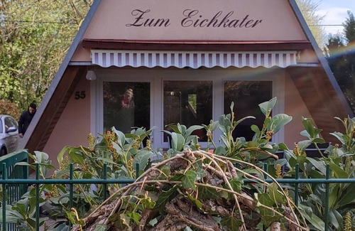 Perlin House | Ferienhaus "Zum Eichkater" am Dümmer See