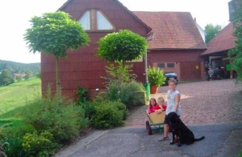 Guttersbach Apartment | Ferienhof Christmann - Holiday apartment Silke