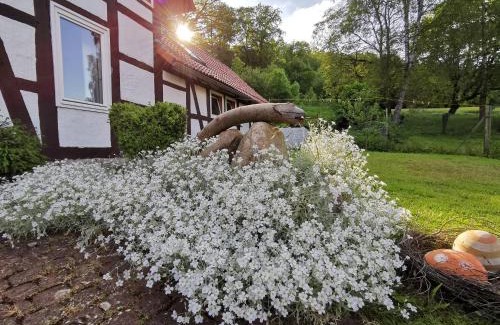 Hulsede House | Ferienhof Ehlers