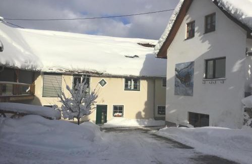 Spital am Pyhrn House | Ferienhof Pacher