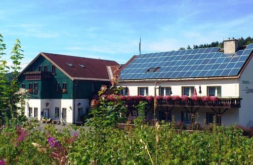 Klingenthal House | Ferienhotel Zwotatal