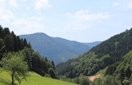 Altsimonswald Apartment | Ferienparadies Hugenhof