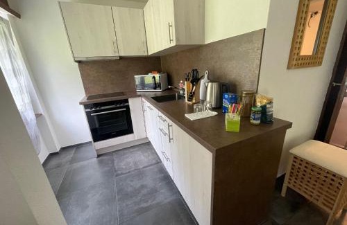 Wassen Apartment | Ferienregion Andermatt - Studio in Wassen