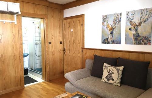 Bramberg am Wildkogel Apartment | Ferienwohnung Soller