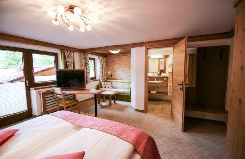 Ramsau am Dachstein Apartment | Ferienwohnung Alpenecho