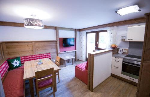 Ramsau am Dachstein Apartment | Ferienwohnung Alpenecho