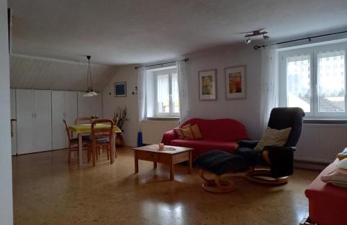 Muhlfeld Apartment | Ferienwohnung Agnes