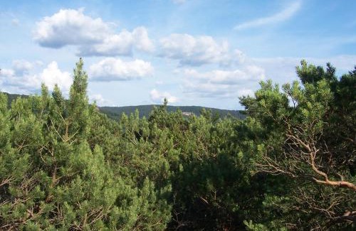 Schonau Apartment | Ferienwohnung am Pfaffenfels