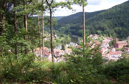 Schonau Apartment | Ferienwohnung am Pfaffenfels