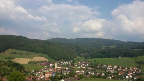 Schuttertal Apartment | Ferienwohnung Am Rebberg