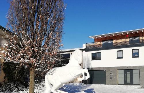 Berggieshubel Apartment | Ferienwohnung an der Reitanlage