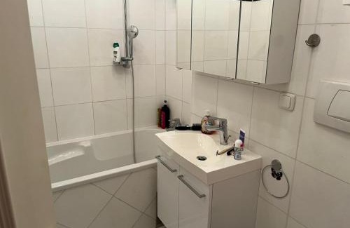 Aigen im Ennstal Apartment | Ferienwohnung - Apartment Pichlarn Holiday