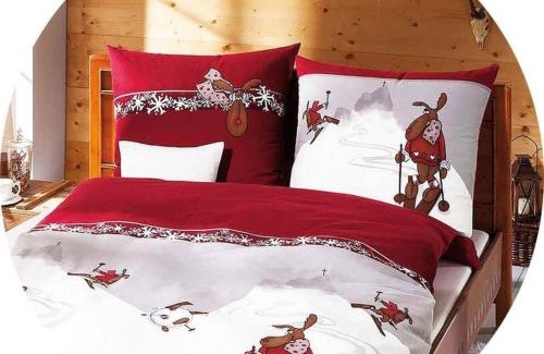 Glarus Sued House | Ferienwohnung Bergzyt oder das Bed and Breakfast - Älplersuite mit eigenem Bad und Terrasse