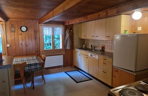 Oberhasli Apartment | Ferienwohnung Berner Oberland - Guttannen