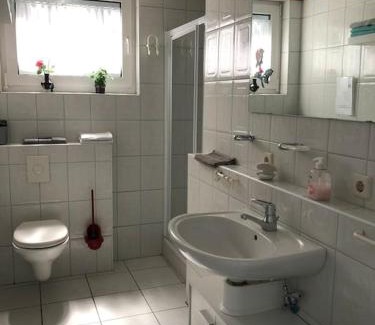Hinterweidenthal Apartment | Ferienwohnung Braun