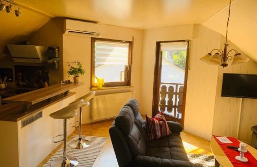 Ebersdorf Apartment | Ferienwohnung Braeuer