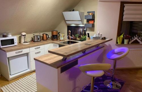 Ebersdorf Apartment | Ferienwohnung Braeuer