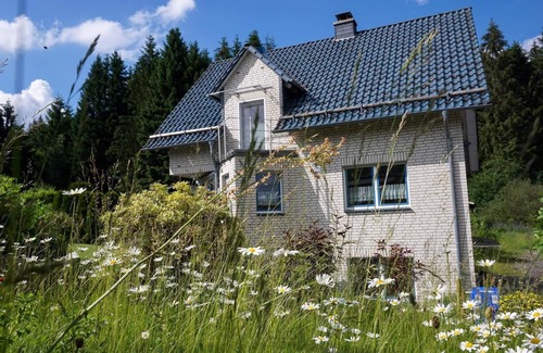 Buntenbock Apartment | Ferienwohnung Brinkmann