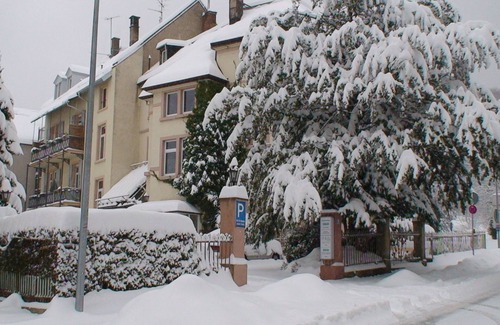 Baden-Baden Apartment | Ferienwohnung Business, 50qm, 1 Schlaf-wohnzimmer, Max. 2 Personen