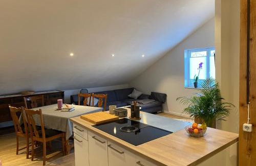 Staufen im Breisgau Apartment | Ferienwohnung Lehmann
