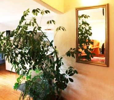 Laufenburg Apartment | Ferienwohnung Haus Edith in Laufenburg