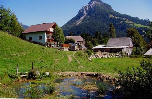 Tauplitz Apartment | Ferienwohnung Hierzegger