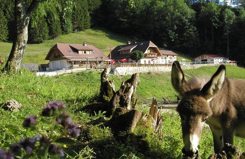 Traunkirchen House | Ferienwohnung Hochsteinalm