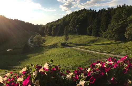 Traunkirchen House | Ferienwohnung Hochsteinalm