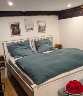 Wieden Apartment | Ferienwohnung im Historischen Schwarzwaldhaus