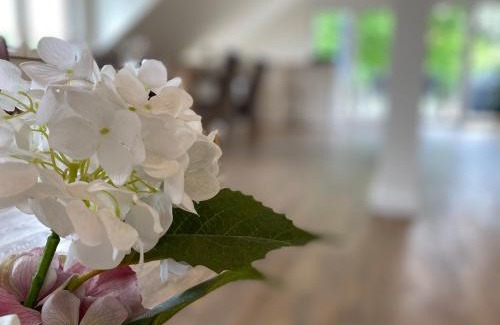 Bispingen Apartment | Ferienwohnung Köhler