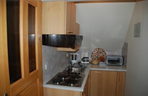 Arriach Apartment | Ferienwohnung Lahnerhof