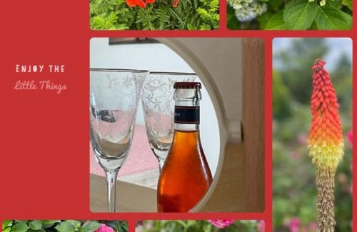 Eystrup Apartment | Ferienwohnung mit WINTERGARTEN in Bahnhofsnähe
