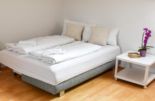 Tuernitz Apartment | Ferienwohnung Sattelhof