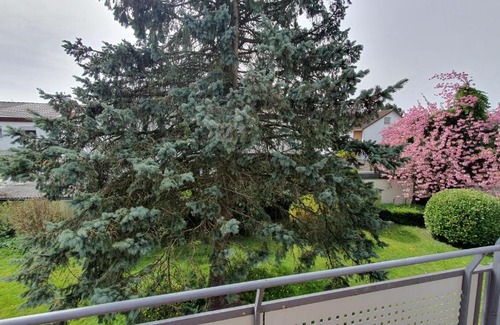 Langenargen Apartment | Ferienwohnung Schöne Aussicht