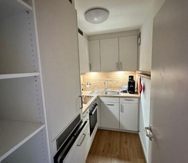 Hinterzarten Apartment | Ferienwohnung Schwarzwald