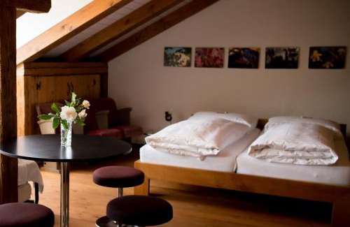 Thun Apartment | Ferienwohnung Schwert